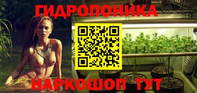 мяу мяу мука Кимры
