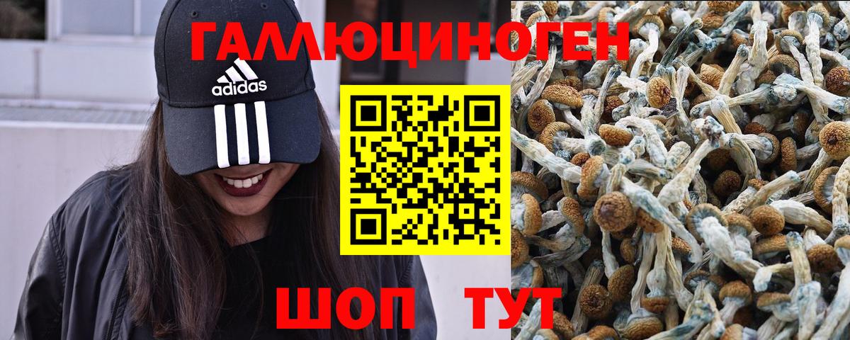 Галлюциногенные грибы MAGIC MUSHROOMS Лесозаводск