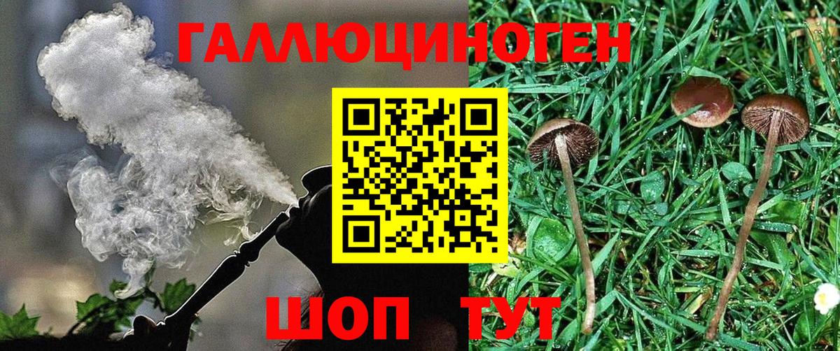 сколько стоит  Галлюциногенные грибы Psilocybine cubensis  Вход с VPN  Лесозаводск 