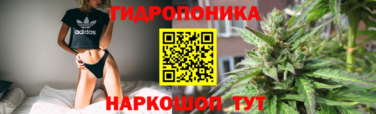 Лесозаводск  Конопля семена  Шишки марихуана MAZAR  Вход с VPN  Шишки марихуана VHQ  Бошки Шишки ГИДРОПОН 